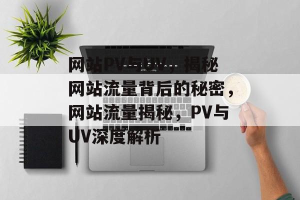 网站PV与UV，揭秘网站流量背后的秘密，网站流量揭秘，PV与UV深度解析