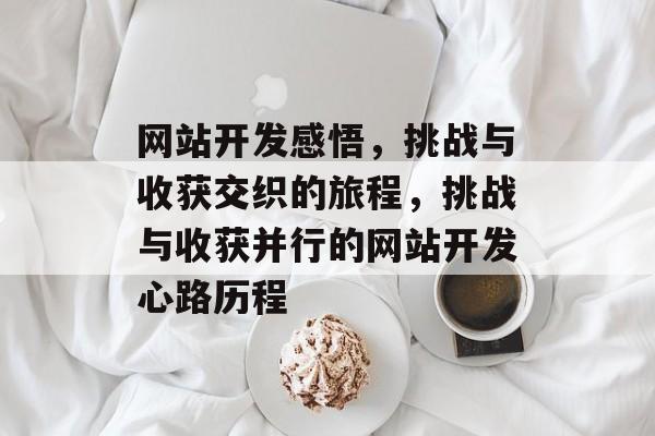 网站开发感悟，挑战与收获交织的旅程，挑战与收获并行的网站开发心路历程