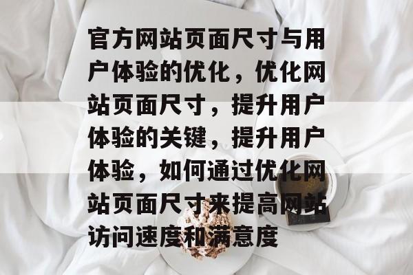 官方网站页面尺寸与用户体验的优化，优化网站页面尺寸，提升用户体验的关键，提升用户体验，如何通过优化网站页面尺寸来提高网站访问速度和满意度