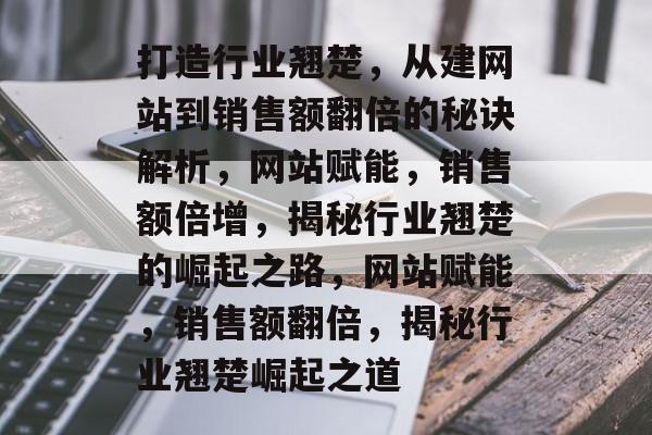 打造行业翘楚，从建网站到销售额翻倍的秘诀解析，网站赋能，销售额倍增，揭秘行业翘楚的崛起之路，网站赋能，销售额翻倍，揭秘行业翘楚崛起之道