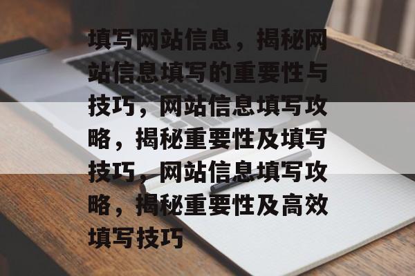 填写网站信息，揭秘网站信息填写的重要性与技巧，网站信息填写攻略，揭秘重要性及填写技巧，网站信息填写攻略，揭秘重要性及高效填写技巧