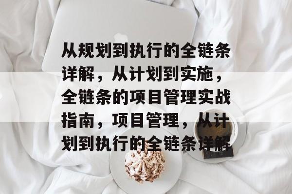 从规划到执行的全链条详解，从计划到实施，全链条的项目管理实战指南，项目管理，从计划到执行的全链条详解