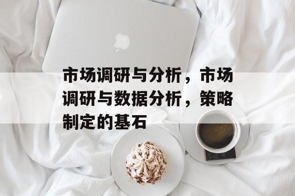 市场调研与分析，市场调研与数据分析，策略制定的基石