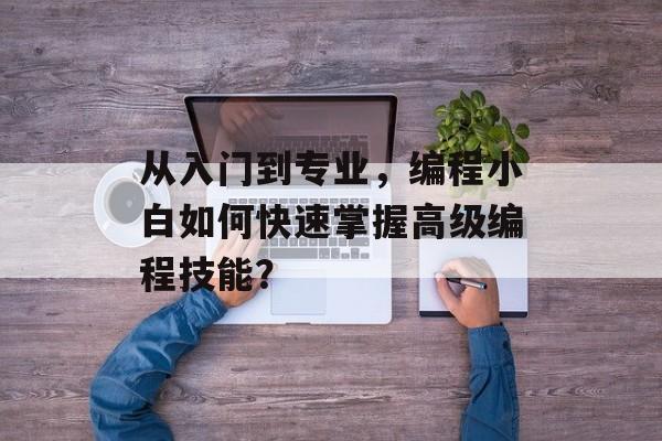 从入门到专业，编程小白如何快速掌握高级编程技能？