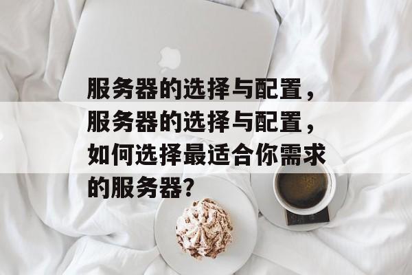 服务器的选择与配置，服务器的选择与配置，如何选择最适合你需求的服务器？