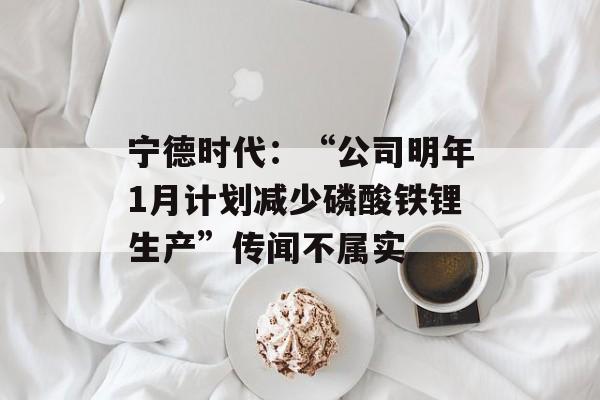 宁德时代：“公司明年1月计划减少磷酸铁锂生产”传闻不属实