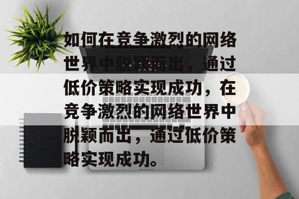 如何在竞争激烈的网络世界中脱颖而出，通过低价策略实现成功，在竞争激烈的网络世界中脱颖而出，通过低价策略实现成功。