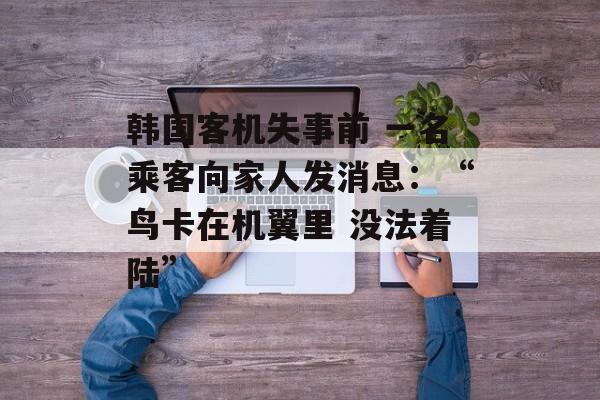 韩国客机失事前 一名乘客向家人发消息：“鸟卡在机翼里 没法着陆”