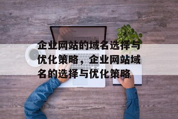 企业网站的域名选择与优化策略，企业网站域名的选择与优化策略
