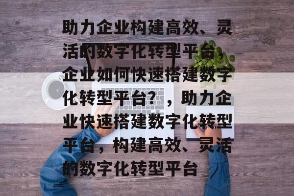 助力企业构建高效、灵活的数字化转型平台，企业如何快速搭建数字化转型平台？，助力企业快速搭建数字化转型平台，构建高效、灵活的数字化转型平台