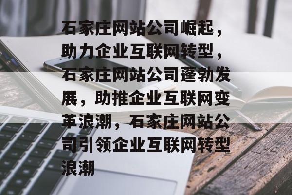 石家庄网站公司崛起，助力企业互联网转型，石家庄网站公司蓬勃发展，助推企业互联网变革浪潮，石家庄网站公司引领企业互联网转型浪潮