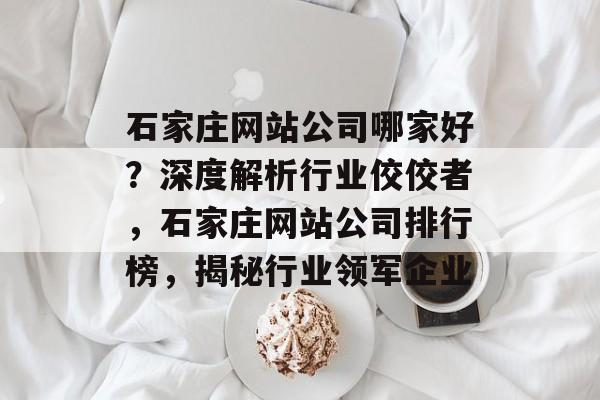 石家庄网站公司哪家好？深度解析行业佼佼者，石家庄网站公司排行榜，揭秘行业领军企业