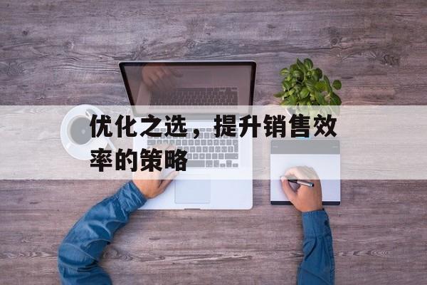 优化之选，提升销售效率的策略