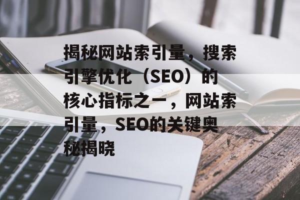 揭秘网站索引量，搜索引擎优化（SEO）的核心指标之一，网站索引量，SEO的关键奥秘揭晓