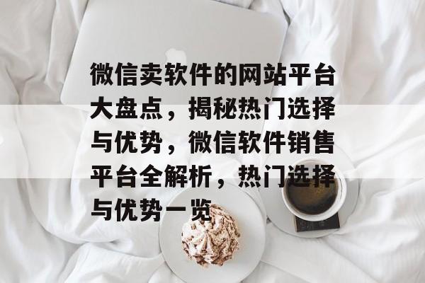 微信卖软件的网站平台大盘点,揭秘热门选择与优势,微信软件销售平台全解析,热门选择与优势一览 微信卖软件的网站平台大盘点,揭秘热门选择与优势,微信软件销售平台全解析,热门选择与优势一览
