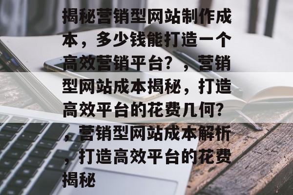 揭秘营销型网站制作成本，多少钱能打造一个高效营销平台？，营销型网站成本揭秘，打造高效平台的花费几何？，营销型网站成本解析，打造高效平台的花费揭秘