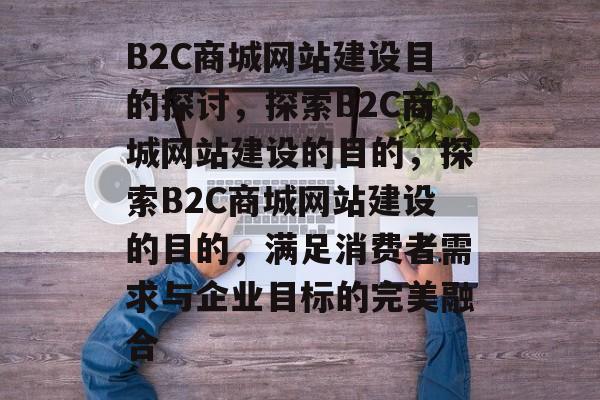 B2C商城网站建设目的探讨，探索B2C商城网站建设的目的，探索B2C商城网站建设的目的，满足消费者需求与企业目标的完美融合