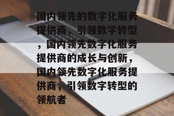 国内领先的数字化服务提供商，引领数字转型，国内领先数字化服务提供商的成长与创新，国内领先数字化服务提供商，引领数字转型的领航者