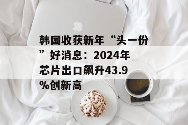 韩国收获新年“头一份”好消息：2024年芯片出口飙升43.9%创新高