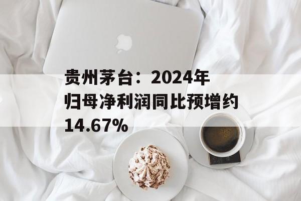 贵州茅台：2024年归母净利润同比预增约14.67%