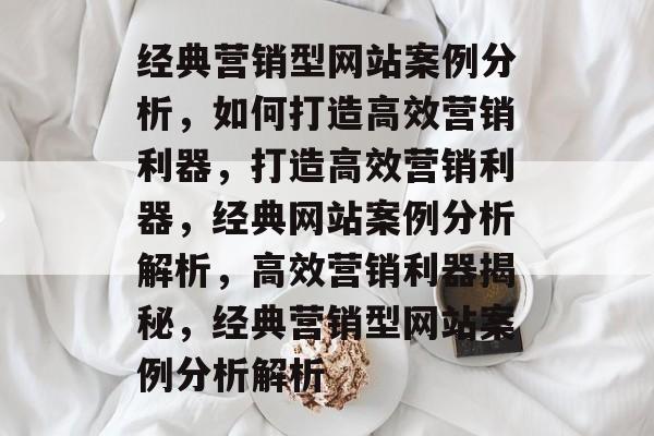 经典营销型网站案例分析，如何打造高效营销利器，打造高效营销利器，经典网站案例分析解析，高效营销利器揭秘，经典营销型网站案例分析解析