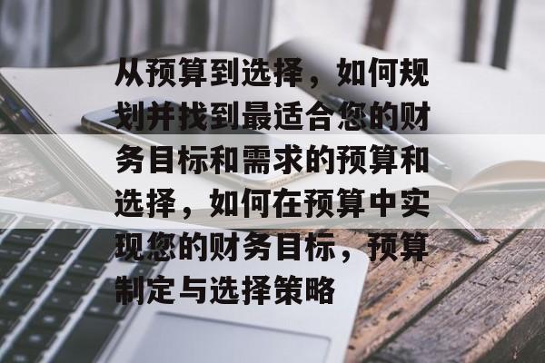从预算到选择，如何规划并找到最适合您的财务目标和需求的预算和选择，如何在预算中实现您的财务目标，预算制定与选择策略