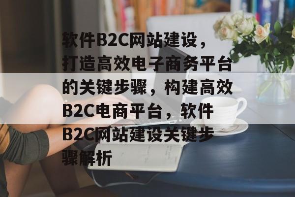 软件B2C网站建设，打造高效电子商务平台的关键步骤，构建高效B2C电商平台，软件B2C网站建设关键步骤解析