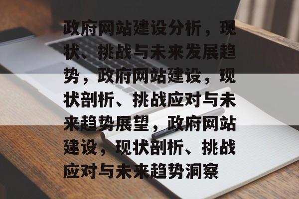 政府网站建设分析，现状、挑战与未来发展趋势，政府网站建设，现状剖析、挑战应对与未来趋势展望，政府网站建设，现状剖析、挑战应对与未来趋势洞察