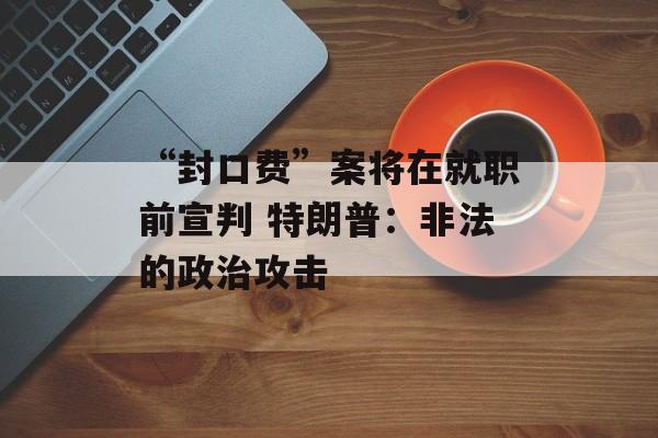 “封口费”案将在就职前宣判 特朗普：非法的政治攻击