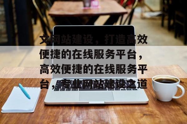 文网站建设，打造高效便捷的在线服务平台，高效便捷的在线服务平台，专业网站建设之道