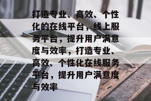 打造专业、高效、个性化的在线平台，线上服务平台，提升用户满意度与效率，打造专业、高效、个性化在线服务平台，提升用户满意度与效率