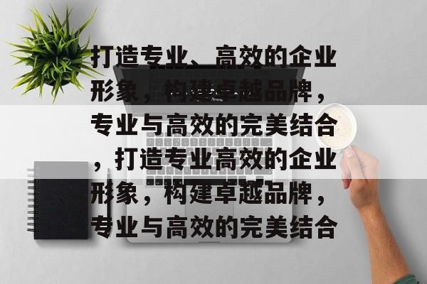 打造专业、高效的企业形象，构建卓越品牌，专业与高效的完美结合，打造专业高效的企业形象，构建卓越品牌，专业与高效的完美结合