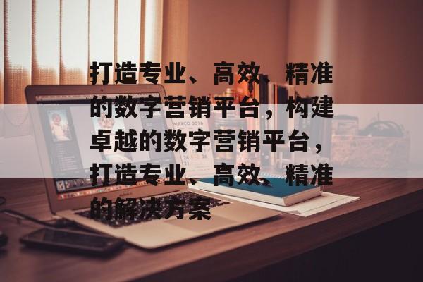 打造专业、高效、精准的数字营销平台，构建卓越的数字营销平台，打造专业、高效、精准的解决方案