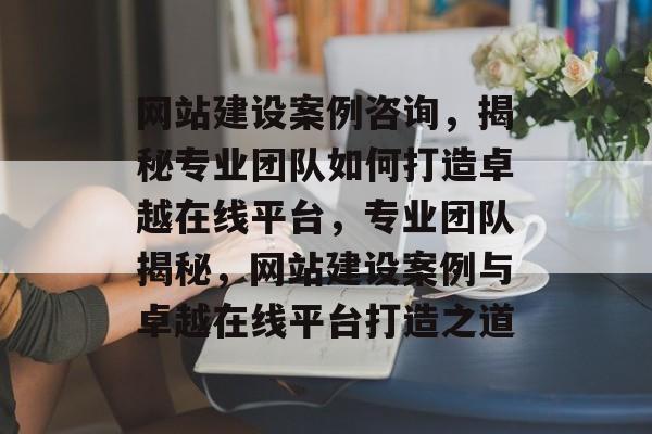 网站建设案例咨询，揭秘专业团队如何打造卓越在线平台，专业团队揭秘，网站建设案例与卓越在线平台打造之道
