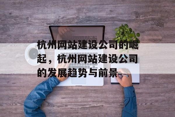 杭州网站建设公司的崛起，杭州网站建设公司的发展趋势与前景