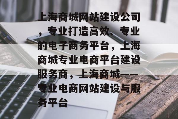 上海商城网站建设公司，专业打造高效、专业的电子商务平台，上海商城专业电商平台建设服务商，上海商城——专业电商网站建设与服务平台