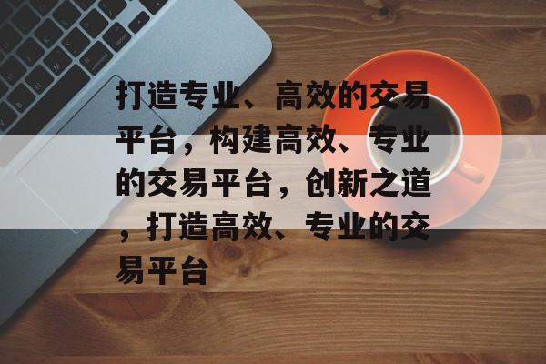打造专业、高效的交易平台，构建高效、专业的交易平台，创新之道，打造高效、专业的交易平台