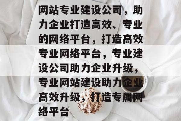 网站专业建设公司，助力企业打造高效、专业的网络平台，打造高效专业网络平台，专业建设公司助力企业升级，专业网站建设助力企业高效升级，打造专属网络平台