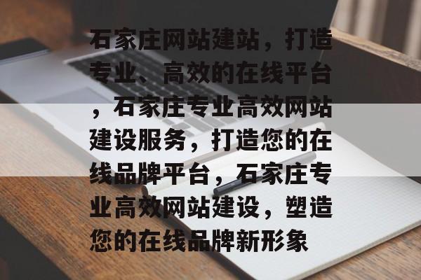 石家庄网站建站，打造专业、高效的在线平台，石家庄专业高效网站建设服务，打造您的在线品牌平台，石家庄专业高效网站建设，塑造您的在线品牌新形象
