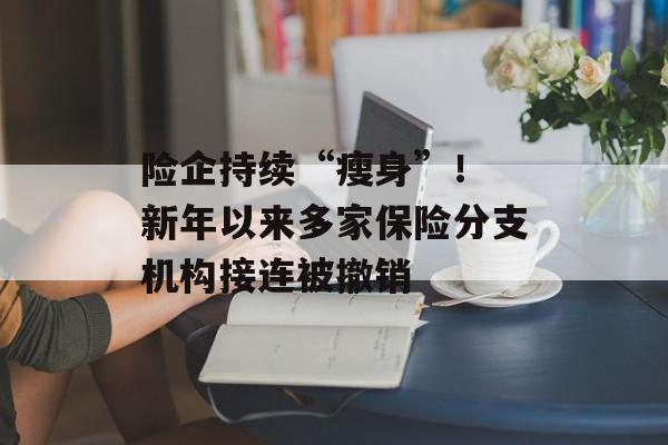 险企持续“瘦身”！ 新年以来多家保险分支机构接连被撤销