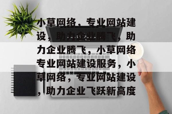 小草网络，专业网站建设，助力企业腾飞，助力企业腾飞，小草网络专业网站建设服务，小草网络，专业网站建设，助力企业飞跃新高度