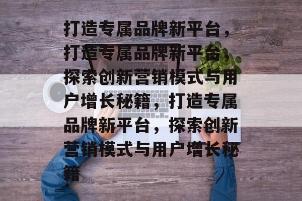 打造专属品牌新平台，打造专属品牌新平台，探索创新营销模式与用户增长秘籍，打造专属品牌新平台，探索创新营销模式与用户增长秘籍