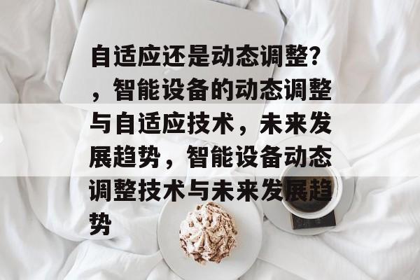 自适应还是动态调整？，智能设备的动态调整与自适应技术，未来发展趋势，智能设备动态调整技术与未来发展趋势