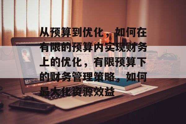 从预算到优化，如何在有限的预算内实现财务上的优化，有限预算下的财务管理策略，如何最大化资源效益