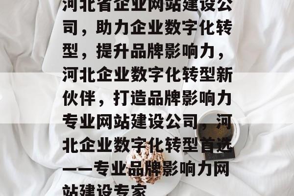 河北省企业网站建设公司，助力企业数字化转型，提升品牌影响力，河北企业数字化转型新伙伴，打造品牌影响力专业网站建设公司，河北企业数字化转型首选——专业品牌影响力网站建设专家