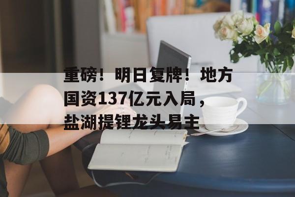 重磅！明日复牌！地方国资137亿元入局，盐湖提锂龙头易主