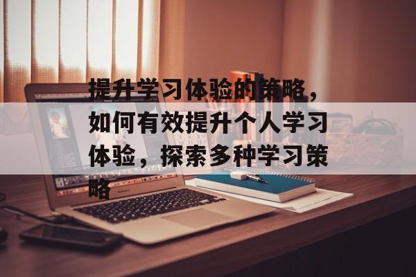 提升学习体验的策略，如何有效提升个人学习体验，探索多种学习策略