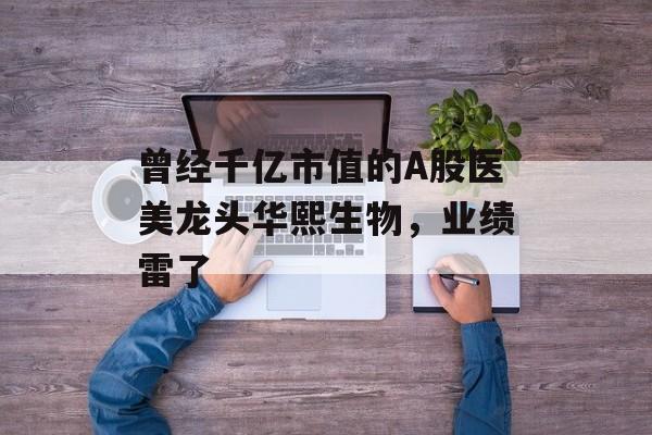 曾经千亿市值的A股医美龙头华熙生物，业绩雷了