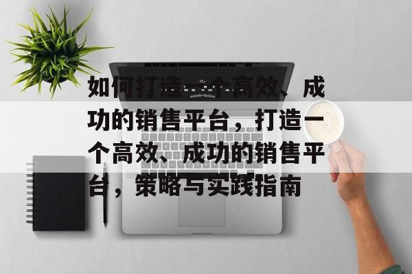 如何打造一个高效、成功的销售平台，打造一个高效、成功的销售平台，策略与实践指南