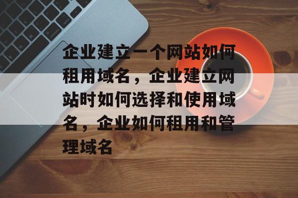 企业建立一个网站如何租用域名，企业建立网站时如何选择和使用域名，企业如何租用和管理域名